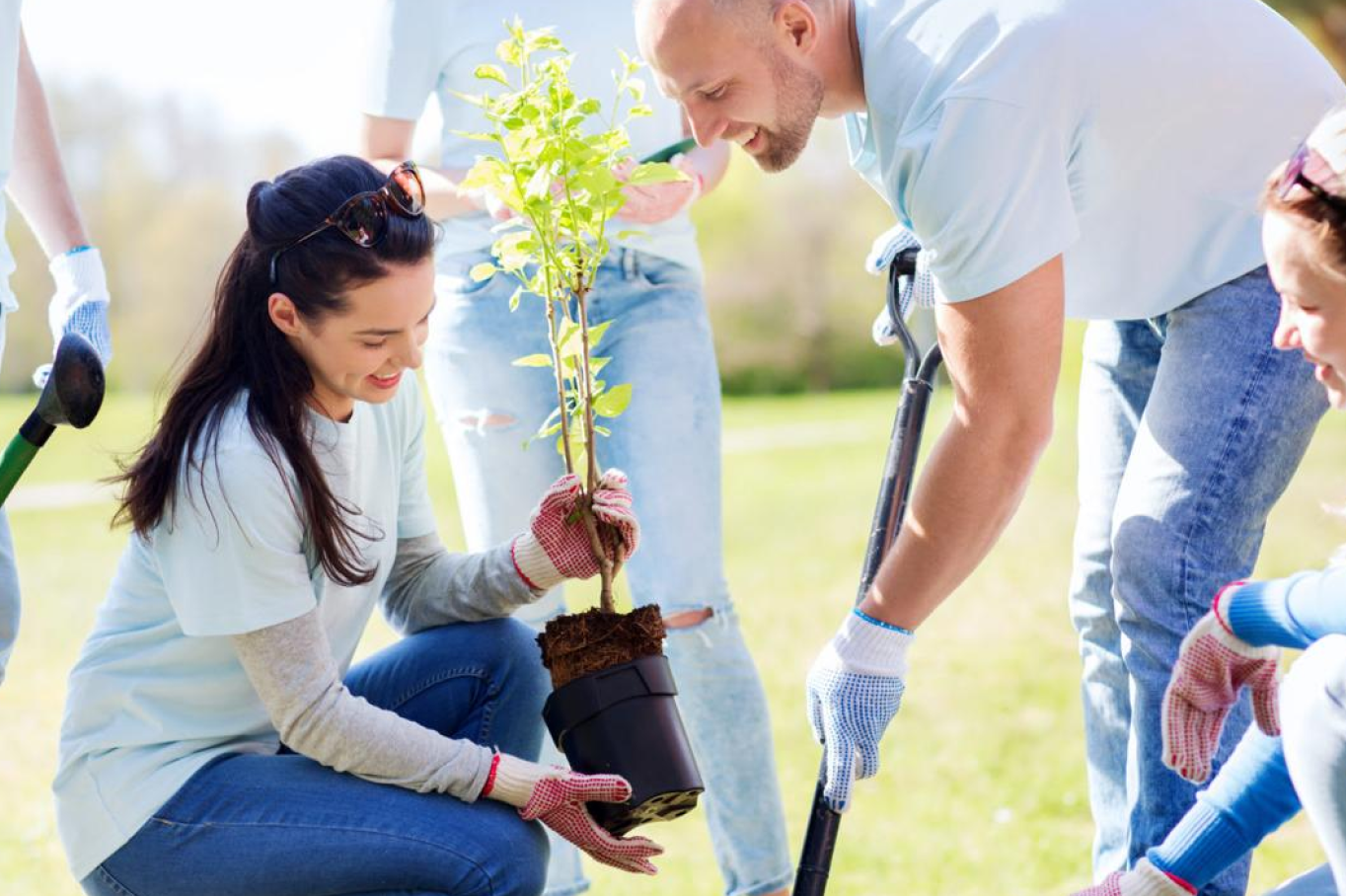Coins coming out of phone